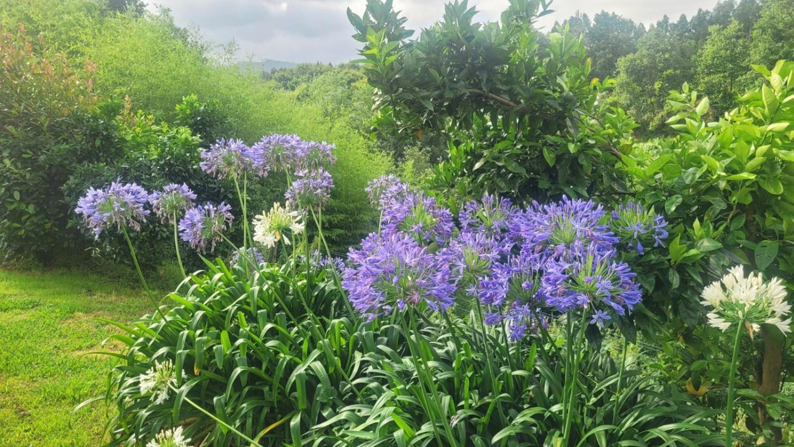 Hotel Aldori Landetxea - Reserva De La Biosfera Urdaibai - Adults Only Muxika Zewnętrze zdjęcie